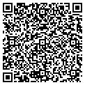 QR code with Dedex contacts