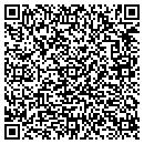 QR code with Bison Motors contacts