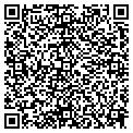 QR code with Lapis contacts