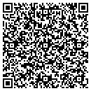 QR code with Catteleya Systems contacts