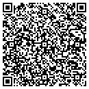 QR code with Professional Express contacts