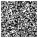 QR code with Capitolo Playground contacts