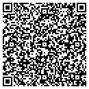 QR code with Prizer Design Group contacts