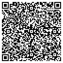 QR code with Purvis Brothers Inc contacts