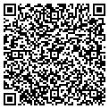 QR code with Willows contacts