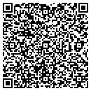 QR code with Pulaski Engineering Co contacts