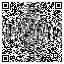 QR code with Control Analytics Inc contacts