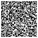 QR code with Puisafeeder Inc contacts