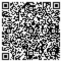 QR code with IBEW contacts