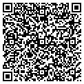 QR code with David L Styer contacts