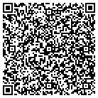 QR code with Blazich Computer Service contacts