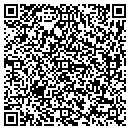 QR code with Carnegie Free Library contacts