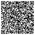 QR code with Bison Contracting contacts