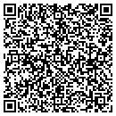 QR code with Carlisle Group Inc contacts