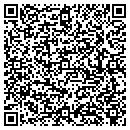 QR code with Pyle's Auto Sales contacts