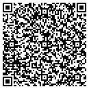 QR code with Cybereps Inc contacts