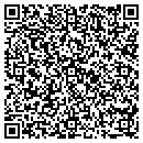 QR code with Pro Source One contacts
