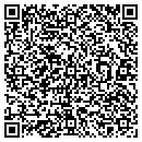 QR code with Chameleon Industries contacts