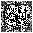 QR code with BLR Disposal contacts