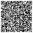 QR code with C W Mesko Glassworks contacts