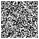 QR code with Precision Direct Inc contacts