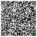 QR code with Professional Abstract & Asrn contacts