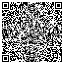 QR code with Pub & Pizza contacts