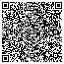 QR code with Premier Systems contacts