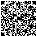 QR code with Public Communicator contacts