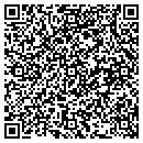 QR code with Pro Pave Co contacts