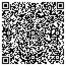 QR code with Pro-Search Inc contacts
