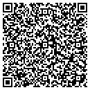 QR code with Pt Group contacts
