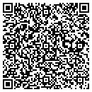 QR code with Pulsar Micro Systems contacts