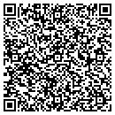QR code with Blatnik Construction contacts