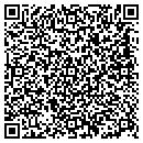 QR code with Cubist Post & Effects Co contacts