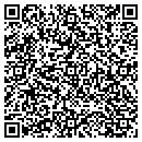 QR code with Cerebellum Systems contacts