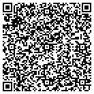 QR code with Pulaski Auto Service contacts