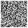 QR code with Basil Stevens contacts