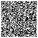 QR code with Premier Auto Inc contacts
