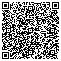 QR code with Andino Ronald A Od contacts