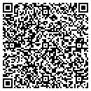 QR code with Prudential Financial contacts
