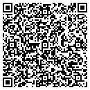 QR code with PVA Consulting Group contacts