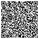 QR code with Brian's Model Trains contacts