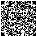 QR code with Pyne Garage contacts