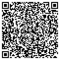 QR code with Pipex Systems contacts