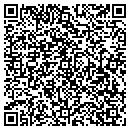 QR code with Premium Audits Inc contacts