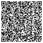 QR code with Punch Kettlebell Gym contacts