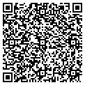 QR code with Yangs contacts