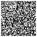 QR code with Pyro System Supplies contacts