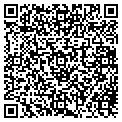 QR code with IBEW contacts